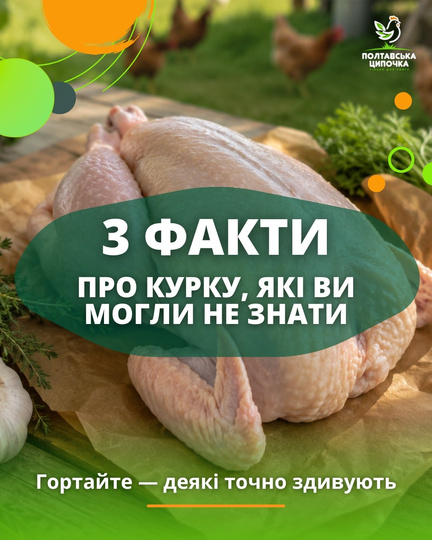 Полтавська Ципочка